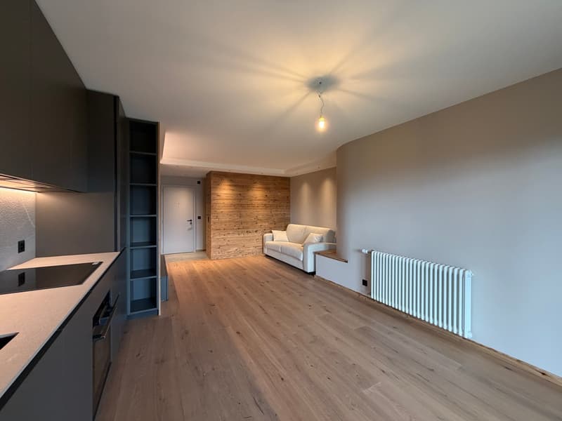 Beautifully renovated ground-floor apartment (7)
