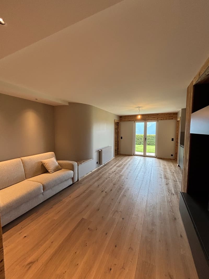 Beautifully renovated ground-floor apartment (1)