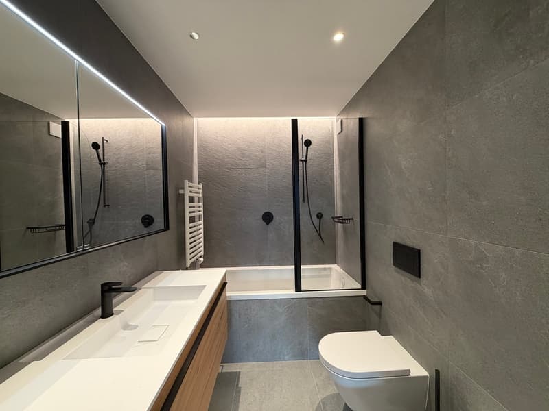 Beautifully renovated ground-floor apartment (4)