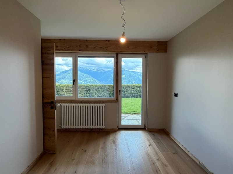Beautifully renovated ground-floor apartment (5)