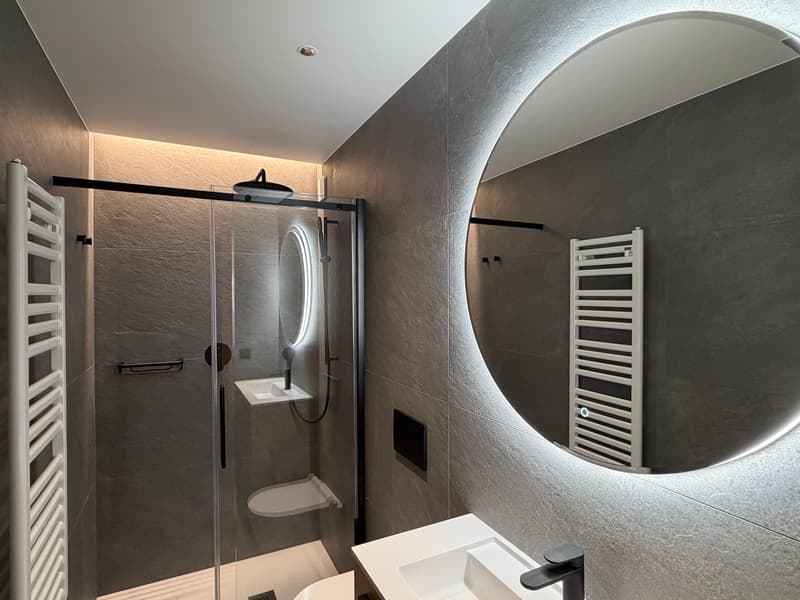 Beautifully renovated ground-floor apartment (6)