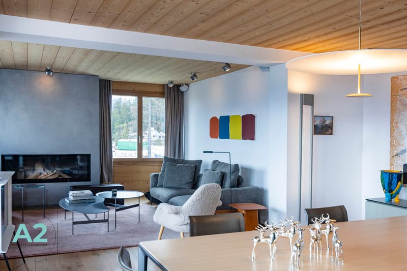 LUXURY SKI APPARTEMENT pour 6 personnes libre du 25 août au 31 octobre (5)