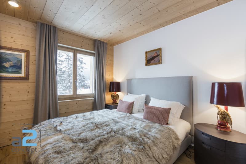 LUXURY SKI APPARTEMENT pour 6 personnes libre du 25 août au 31 octobre (9)