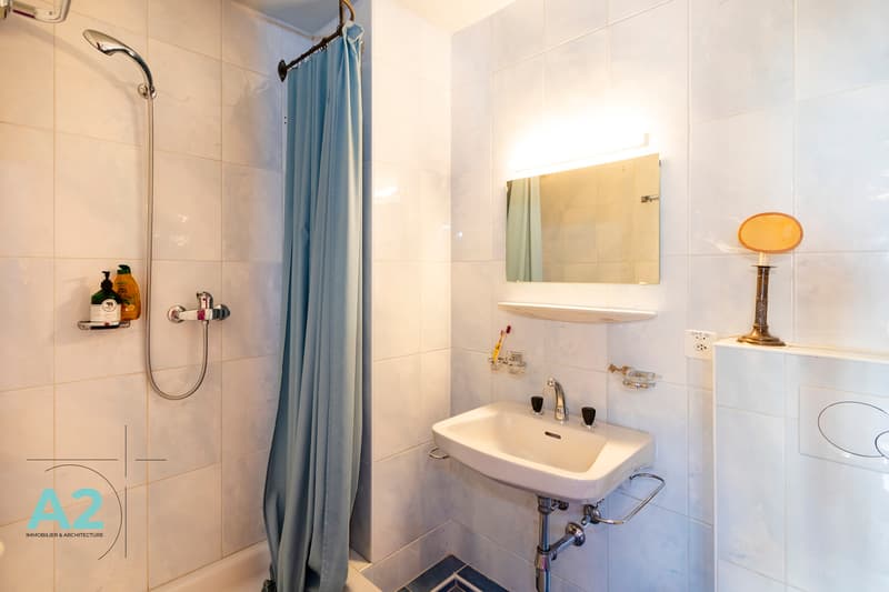 Authentic Apartment in the Heart of Crans (9)