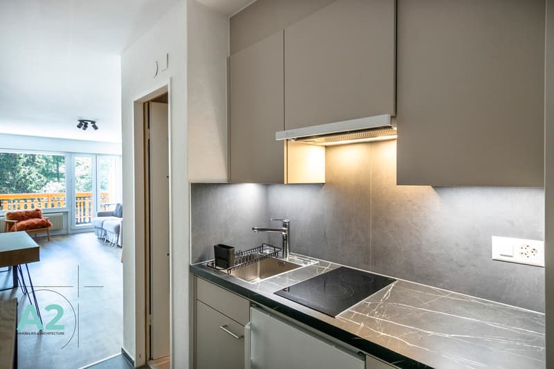 STUDIO PLEIN SUD ENTIÈREMENT RÉNOVÉ - À L'ANNÉE (7)