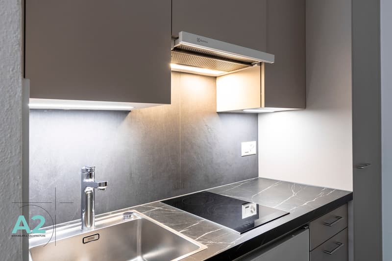 STUDIO PLEIN SUD ENTIÈREMENT RÉNOVÉ - À L'ANNÉE (6)