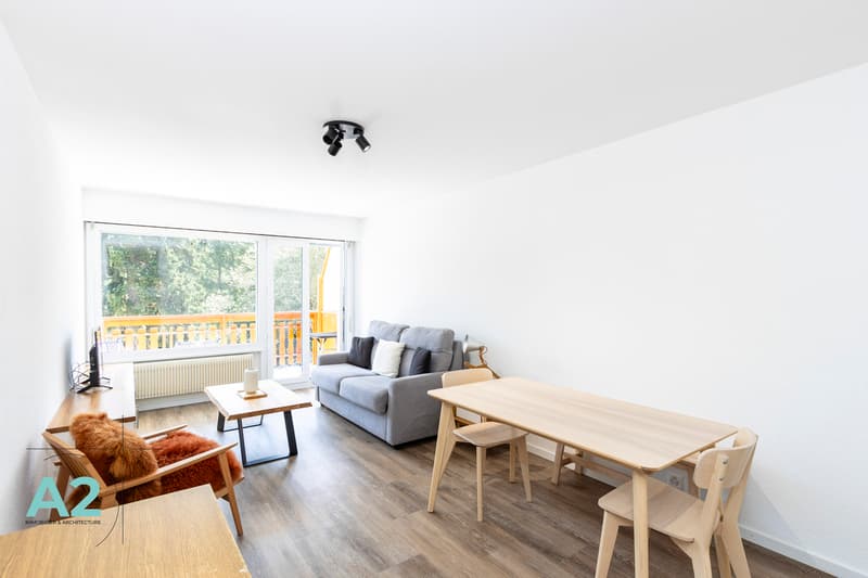 STUDIO PLEIN SUD ENTIÈREMENT RÉNOVÉ - À L'ANNÉE (2)