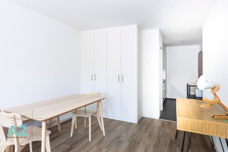 STUDIO PLEIN SUD ENTIÈREMENT RÉNOVÉ - À L'ANNÉE (5)