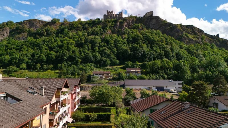 Magnificent 5-room apartment in Platta / Sion (9)