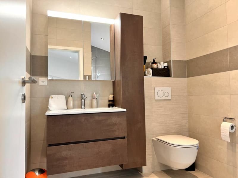 Adjoining villa with 4.5 rooms in St-Gingolph (11)