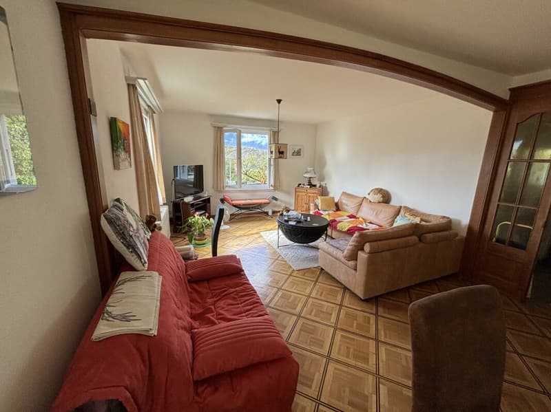 Immeuble et parcelle constructible à Ollon (8)