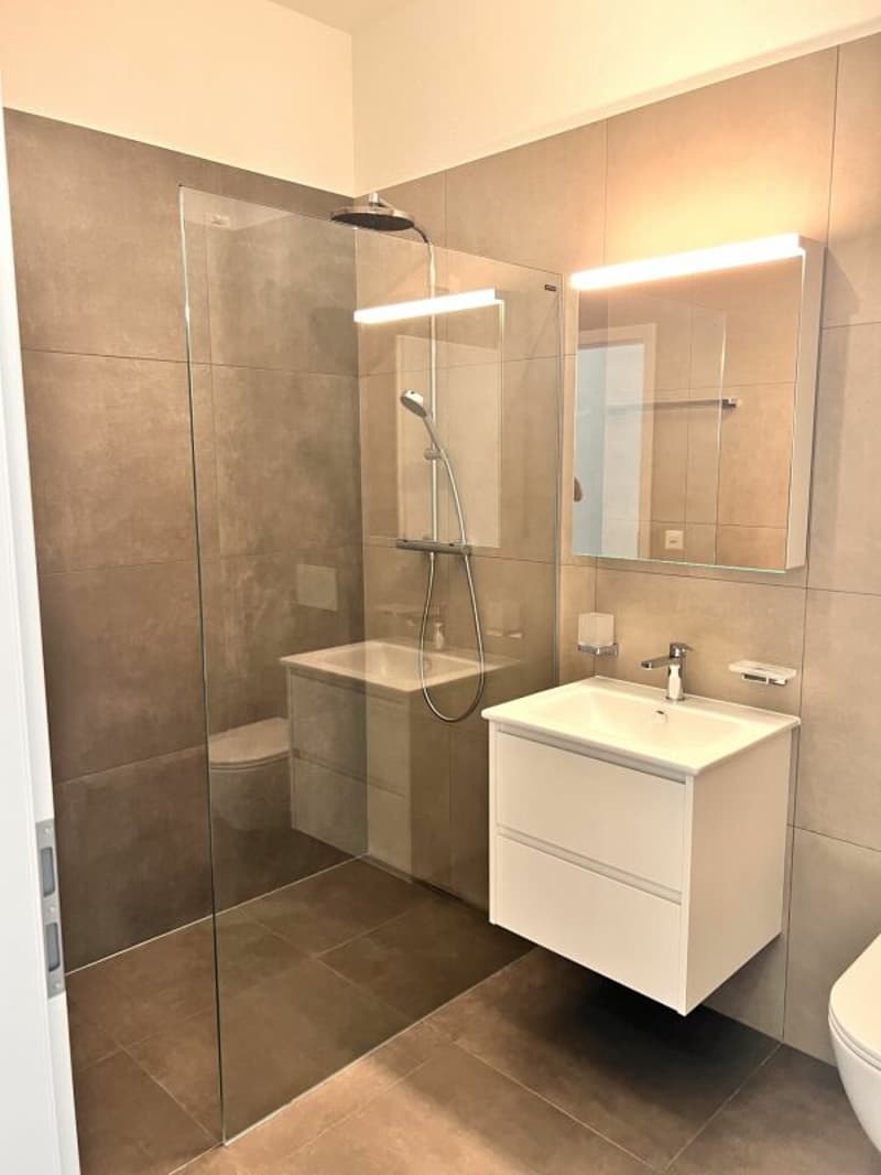 Appartement 3.5 pièces à Monthey (9)