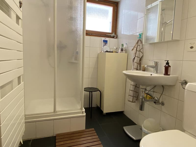 Chalet, 7.0 pièces, 235.00 m2