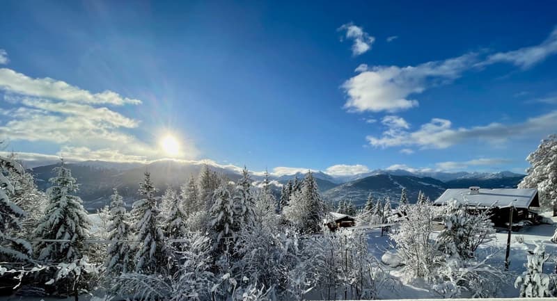 Chalet, 8.5 pièces, 313.00 m2