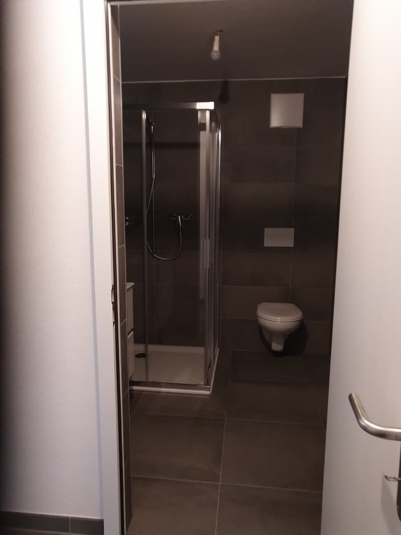 Moderne 3.5-Zimmer-Wohnung mit Bergblick in Fully (12)