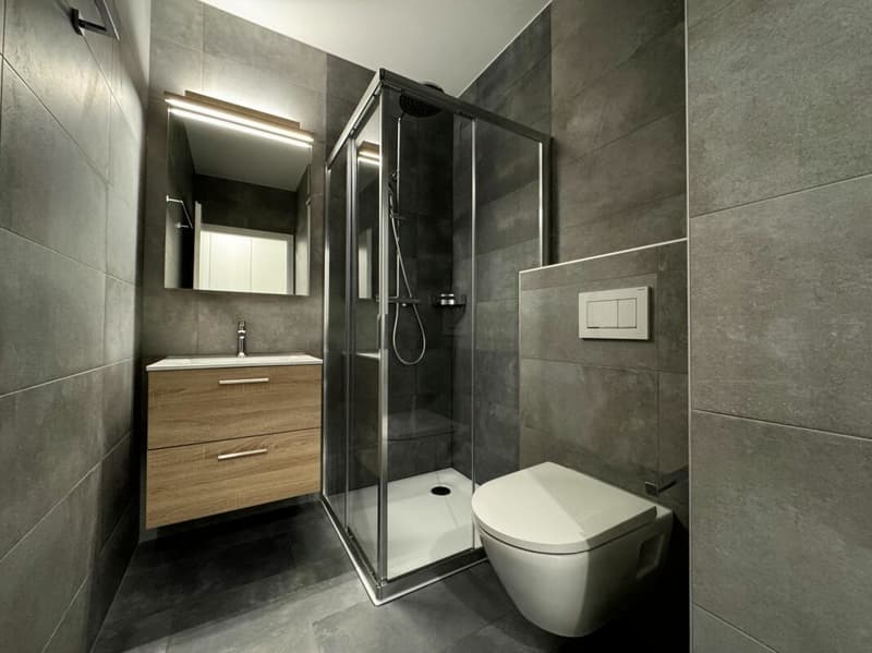 Apartment 3.5 rooms in Monthey (13)