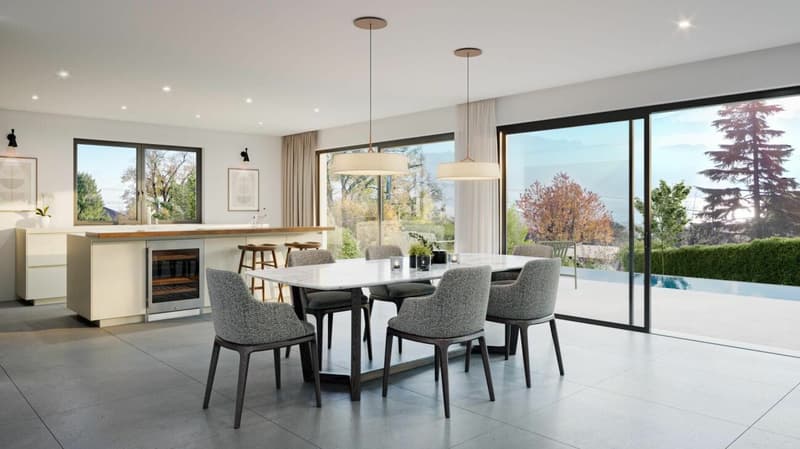 Villa individuelle 5.5 pièces à St-Légier-La Chiésaz (3)