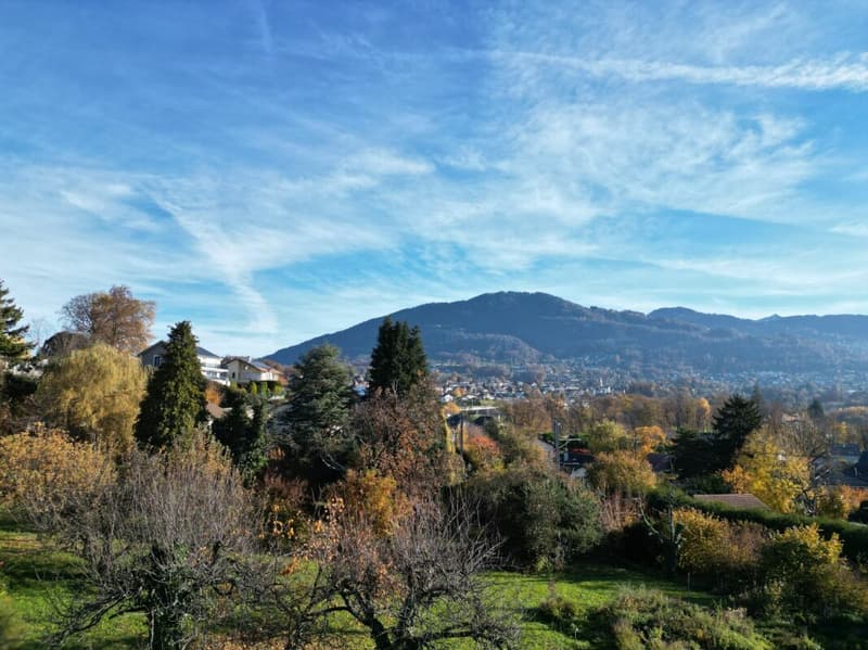 Seltenes Einfamilienhaus mit 5,5 Zimmern in St-Légier-La Chiésaz (11)