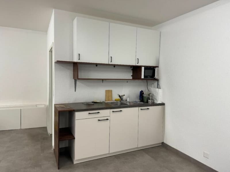 Amministrativo/Ufficio 1.5 locali 156.35 m2 a Puidoux-Gare (6)