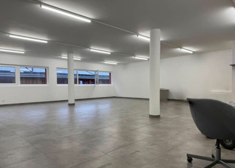 Amministrativo/Ufficio 1.5 locali 156.35 m2 a Puidoux-Gare (4)