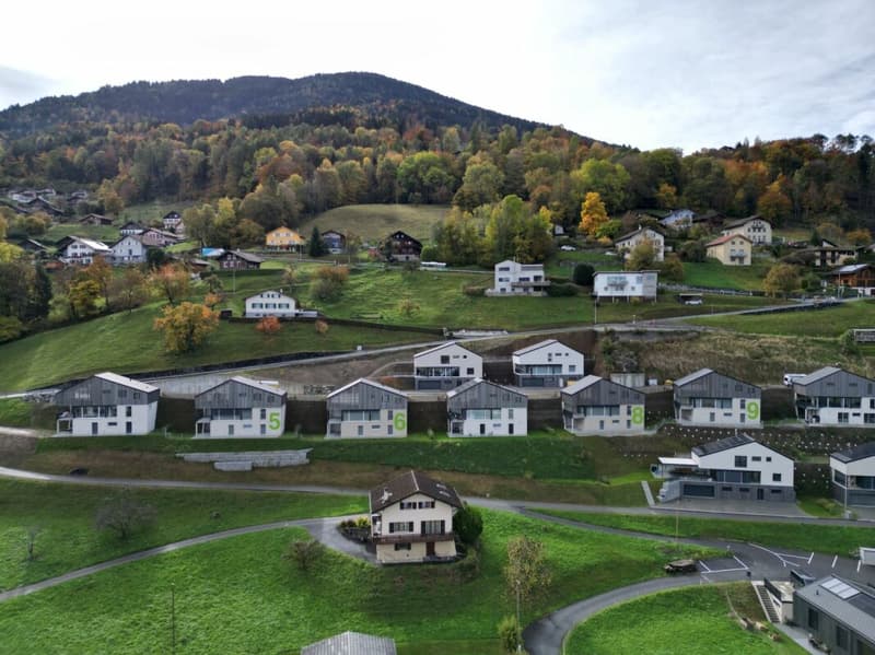 Detached house 4.5 rooms in Choëx (17)