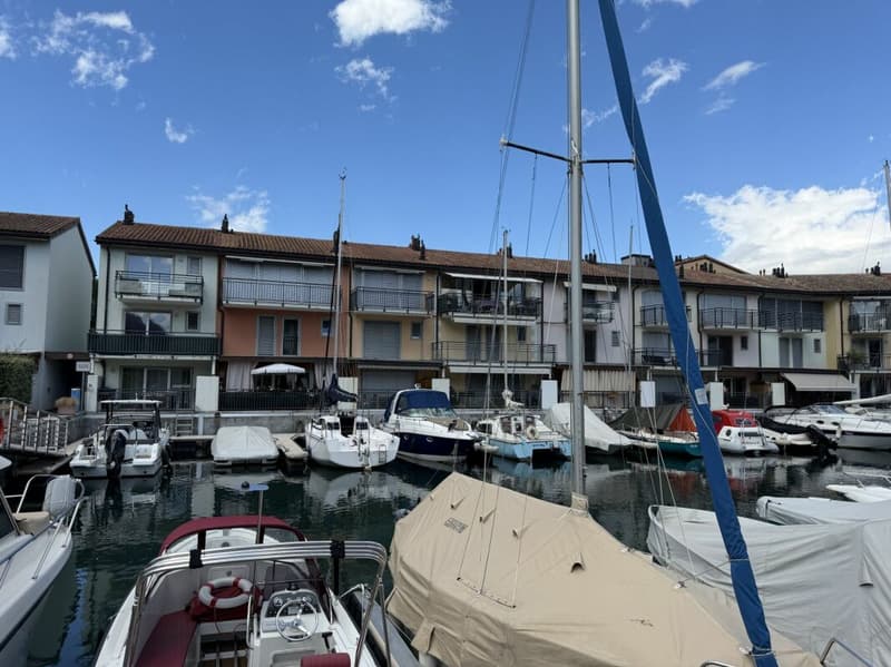 Location 3.5 pcs Le Bouveret (4)