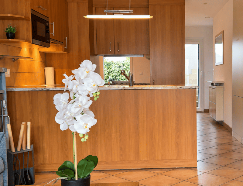 Location 3.5 pcs Le Bouveret (7)
