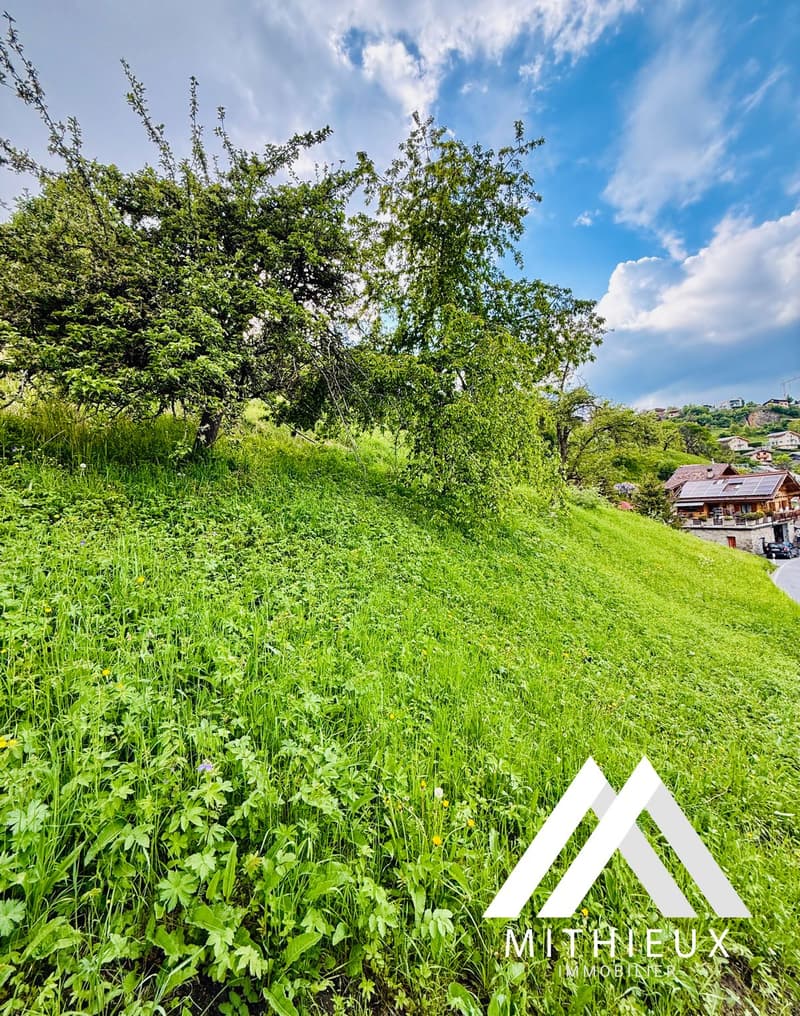 BUILDABLE LAND 2648 M2, VEX