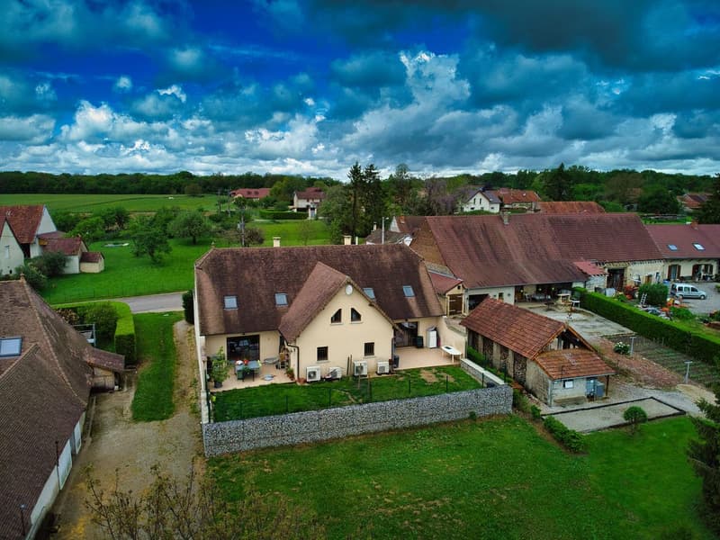 In vendita - Complesso immobiliare di due case a schiera - Relans (Jura) (3)