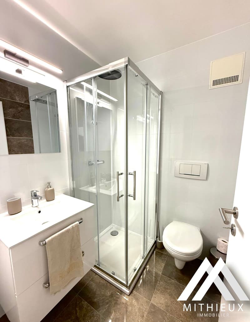 The alliance of renewal and calm in Saxon: Magnificent 4.5 rooms renovated (11)