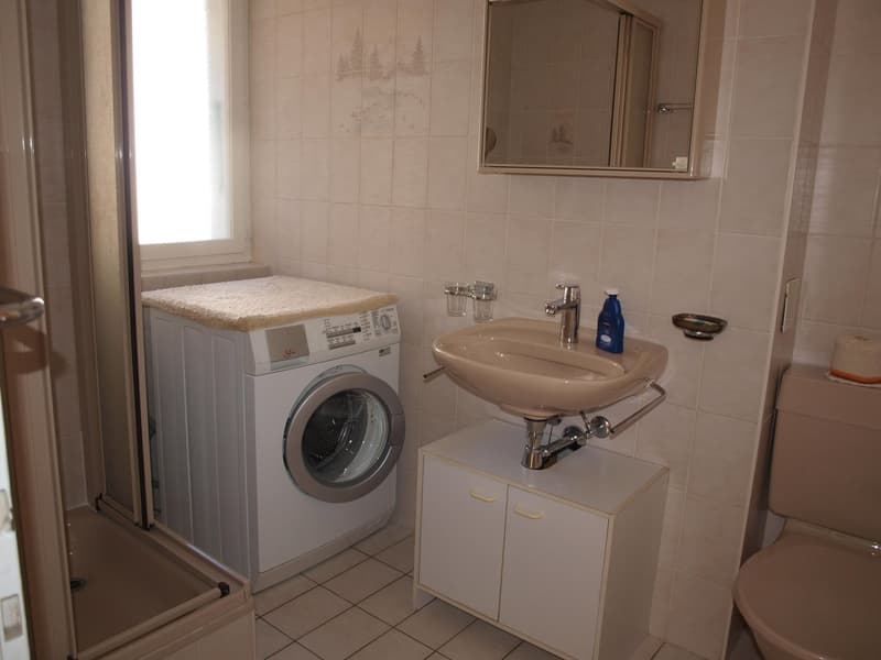 Bathroom with washing machine, sink, toilet, and shower