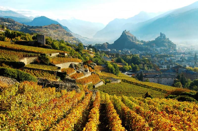 Diverses Caves à vins avec Viticoles en Suisse à vendre (1)