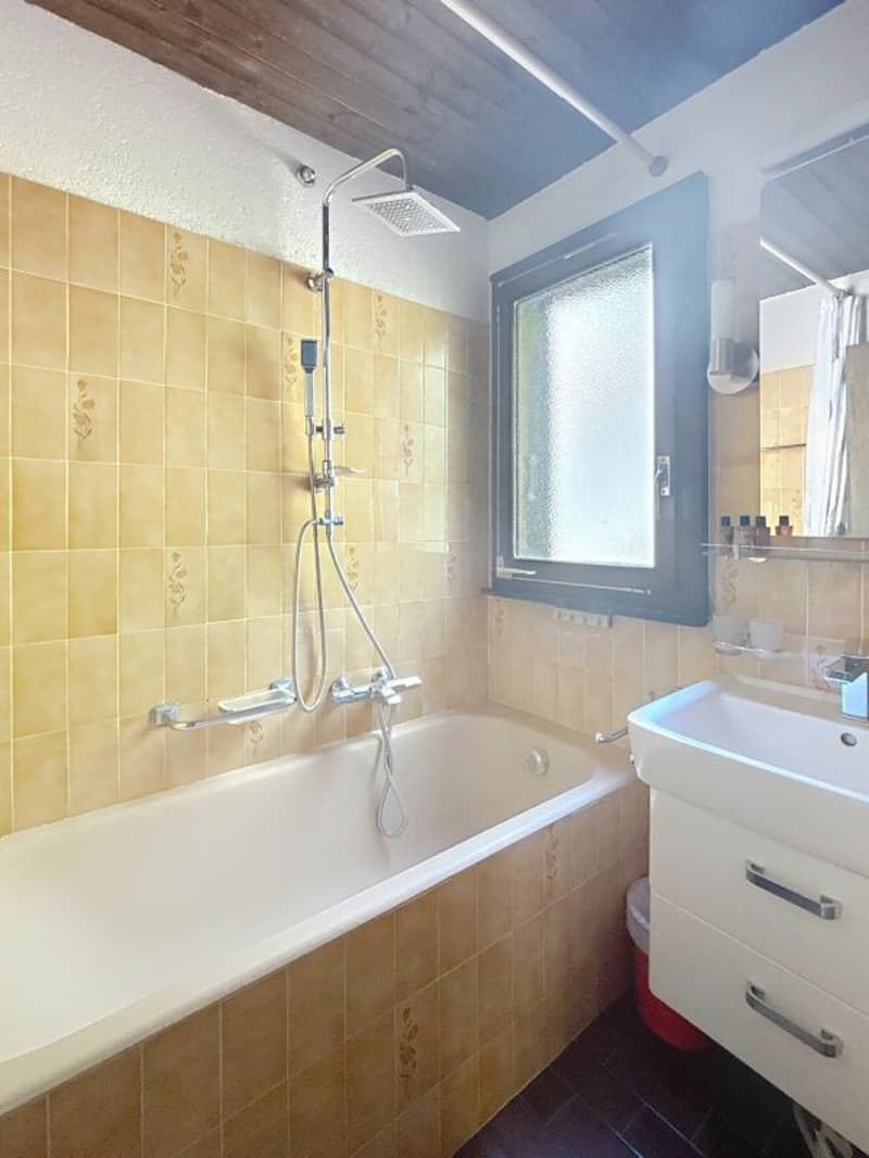 Appartement dans un chalet divisé en 2 à Mollens (7)