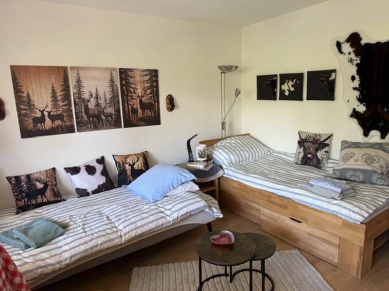Appartement 1 1/2 pièces à Crans-Montana (6)