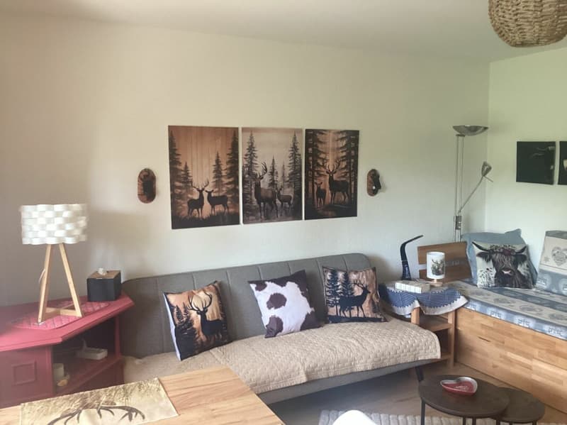 Appartement 1 1/2 pièces à Crans-Montana (7)