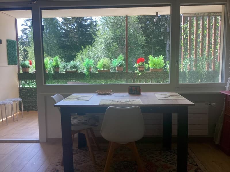 Appartement 1 1/2 pièces à Crans-Montana (2)