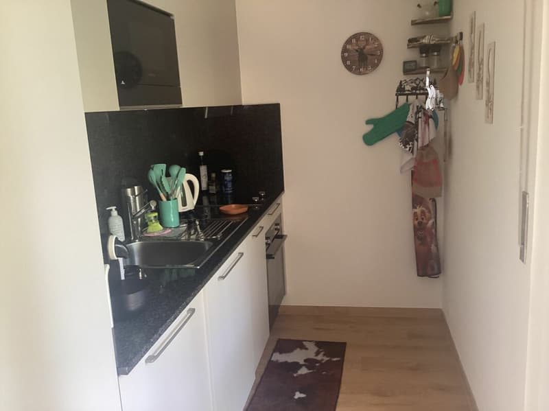 Appartement 1 1/2 pièces à Crans-Montana (4)