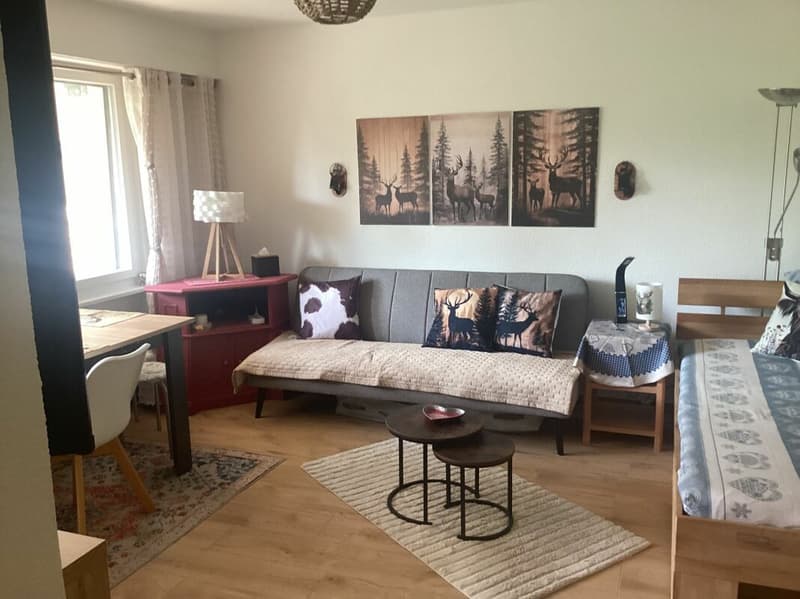 Appartement 1 1/2 pièces à Crans-Montana (5)