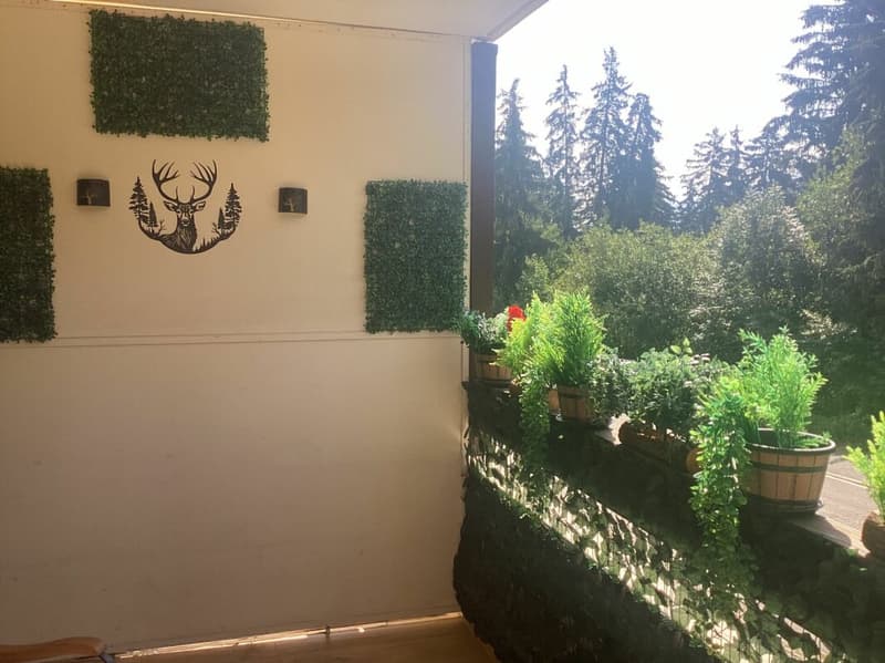 Appartement 1 1/2 pièces à Crans-Montana (3)