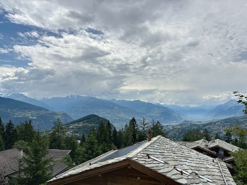 Appartement 3.5 pièces à Crans-Montana (Secteur Lens) (9)