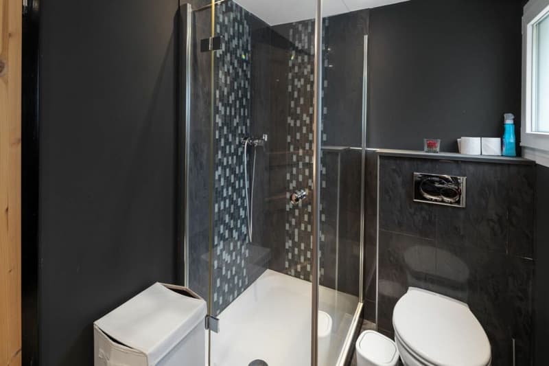 Chalet "Pra Derri" 3 chambres à Lens (5)