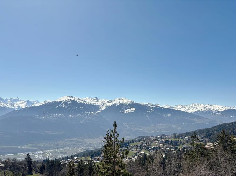 Appartement 3.5 pièces à Montana (7)