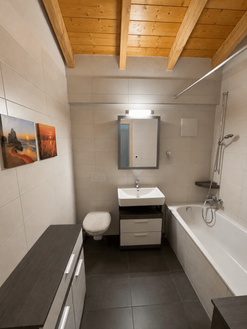 Appartement 3.5 pièces - Charpente apparente (5)