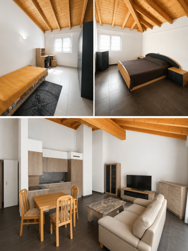 Appartement 3.5 pièces - Charpente apparente (3)