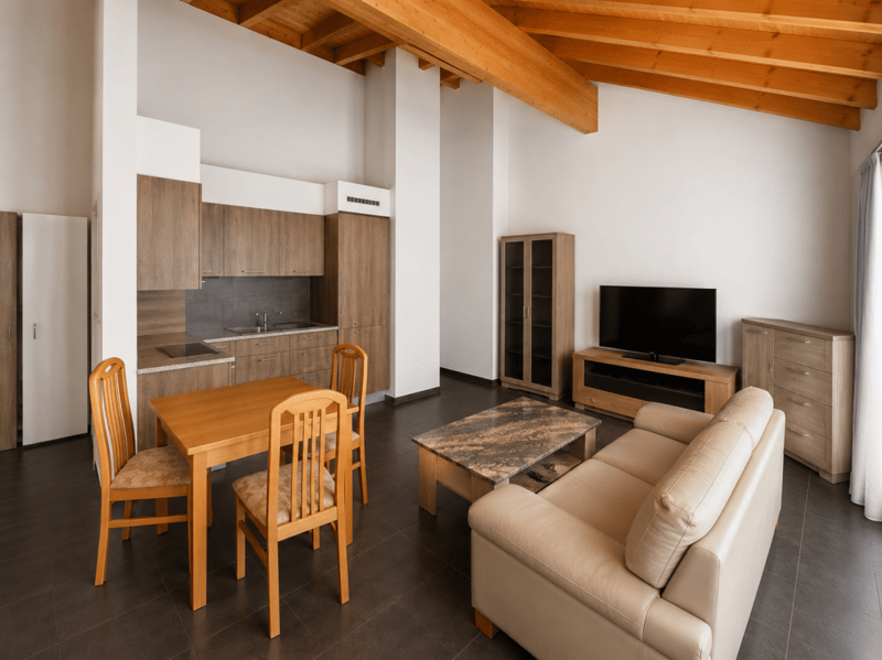 Appartement 3.5 pièces - Charpente apparente (2)