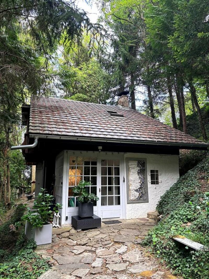 Maison au coeur de la forêt (2)