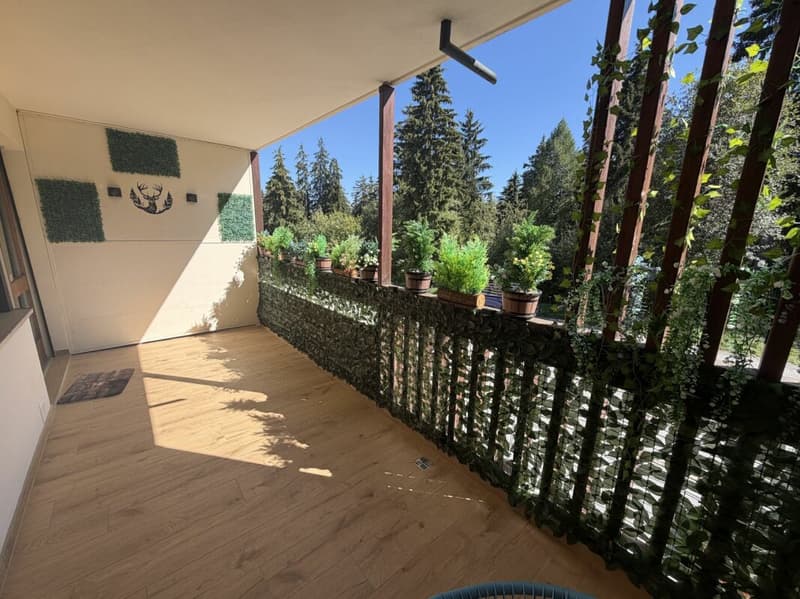 Appartement 1 1/2 pièces à Crans-Montana - Location saison (5)