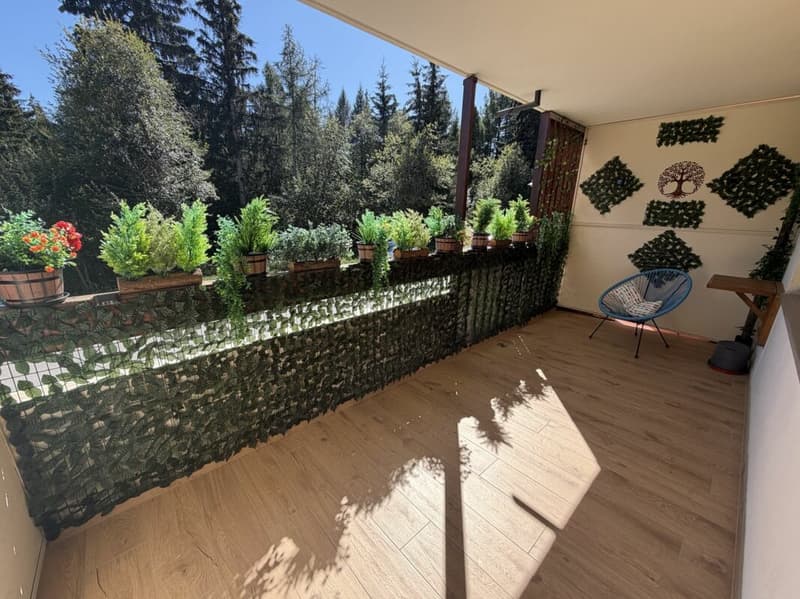 Appartement 1 1/2 pièces à Crans-Montana - Location saison (6)