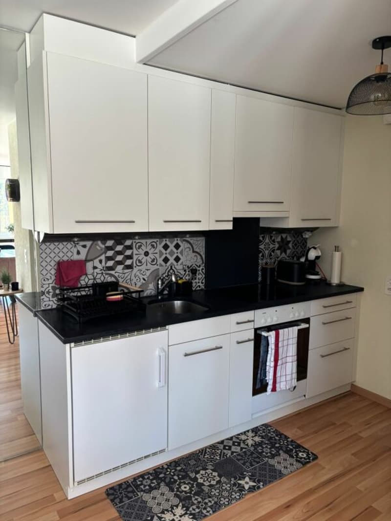 Studio avec terrasse de 70 m² face au lac de la Moubra. (7)