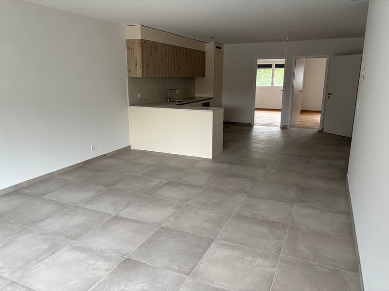 SUPERBES UND GERAUMIGE 3.5-ZIMMER-WOHNUNG - IDEALE LAGE IN ARDON / MALOC-IMMO (5)